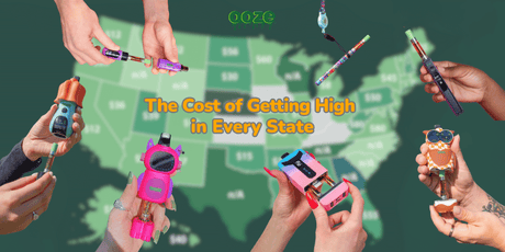 The Cost of Getting High in Every State in 2025