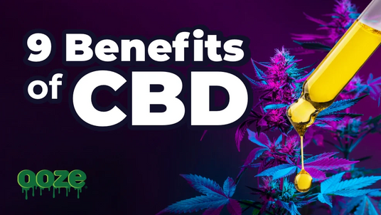 Ooze Life Blog the 9 Benefits of CBD