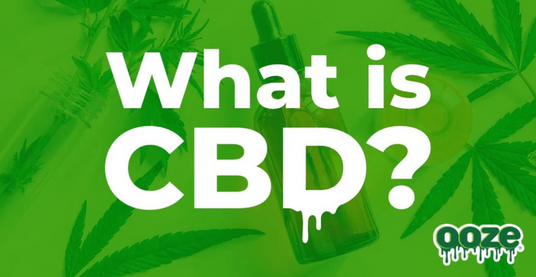 Ooze Life Blog What is CBD