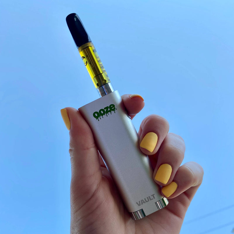 Holding a silver Vault against the blue sky