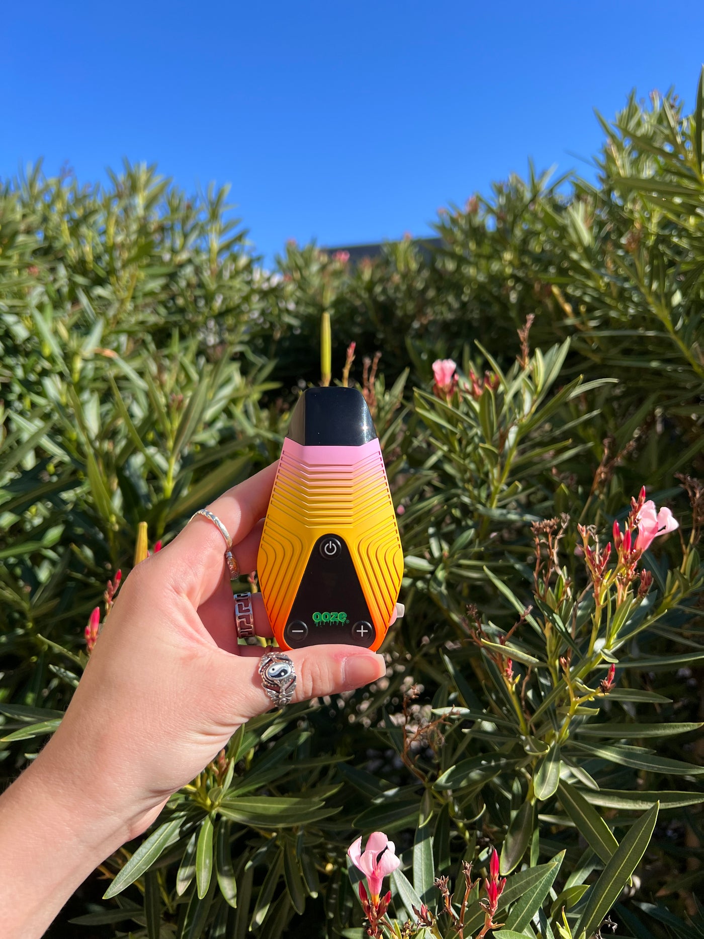 Person holding up Brink yellow and pink weed pen near bushes