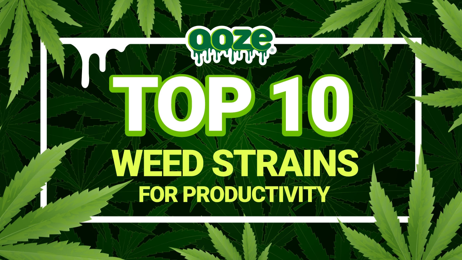 Top 10 Strains 2025