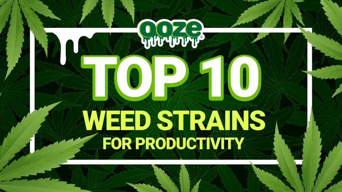 Top 10 Strains for Productivity