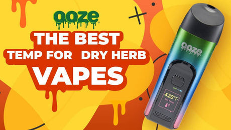 Best Temp for Dry Herb Vaporizers: How to Choose