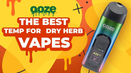 Best Temp for Dry Herb Vaporizers: How to Choose