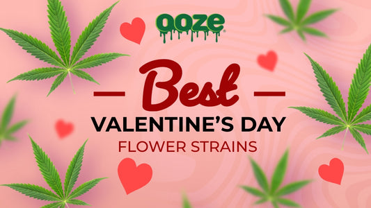 Best Valentine's Day Flower Strains