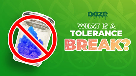 What is a Weed Tolerance Break?