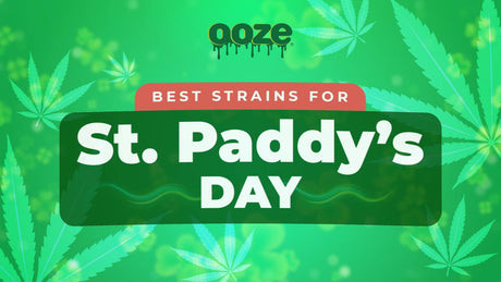 Best Green Strains for St. Patrick's Day
