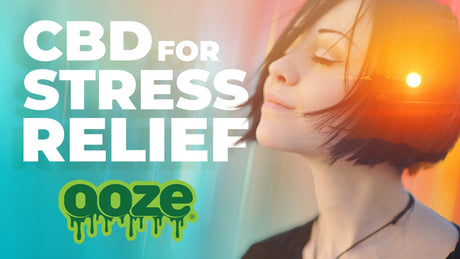 CBD for Stress Relief: How It Can Help