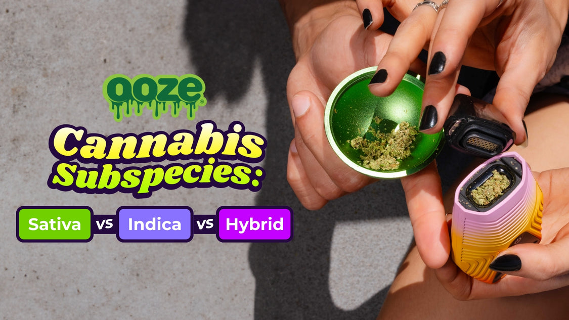 Ooze Pen Blinking Green | Ooze