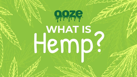 What is Hemp?