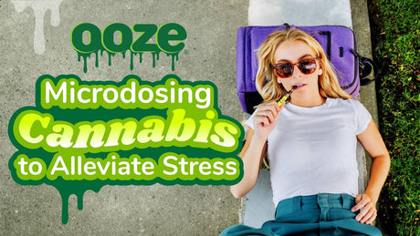 Back to College: Microdosing Cannabis to Alleviate Stress