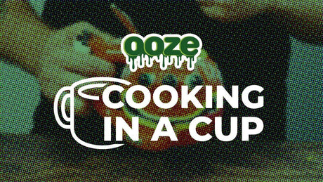 Cooking In A Cup: Dorm-Friendly Recipes