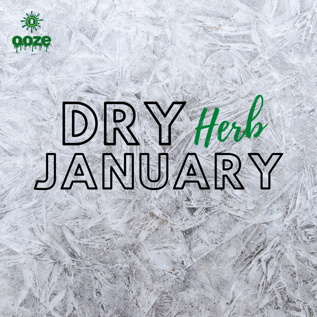 A Dry Herb January graphic with the Ooze logo in the top left corner. The background looks like frosted frozen glass.