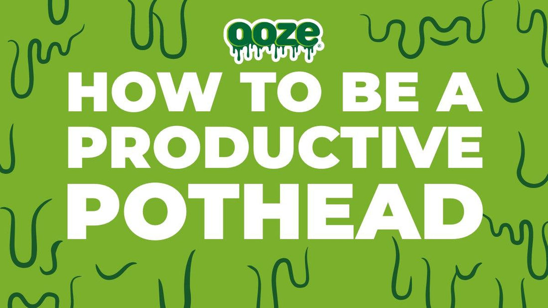 How To Be a Productive Pothead - The Oozelife Blog - Ooze Smoking Working Motivation Lazy Stoner Stereotype Sativa Strains