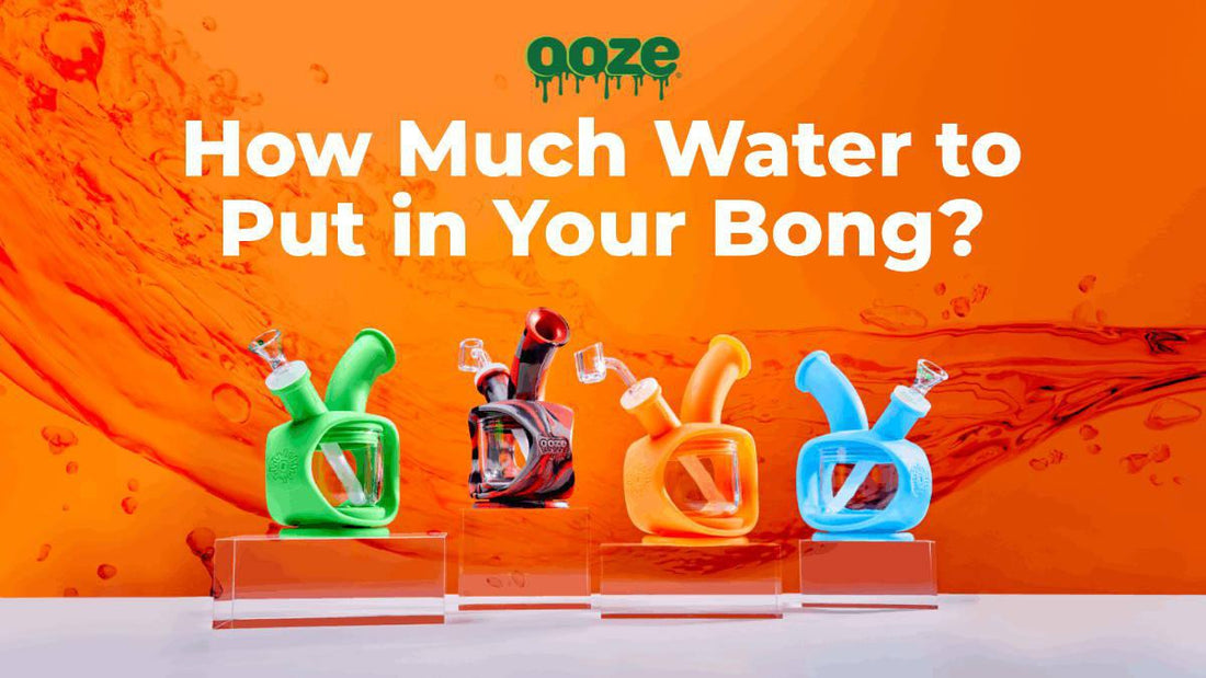 How to Know How Much Water to Put in Your Bong
