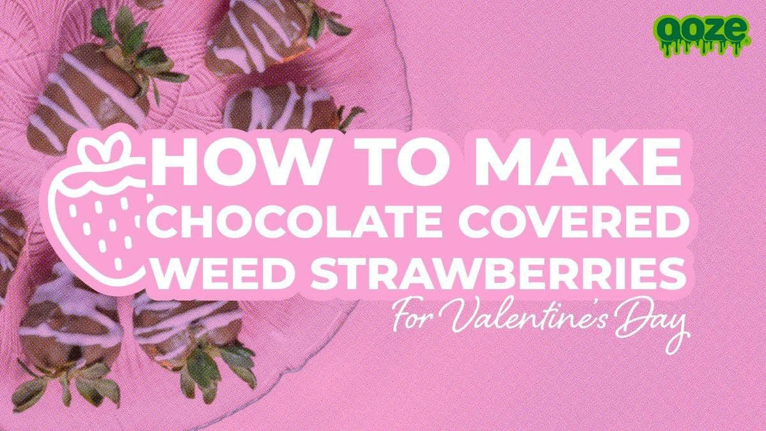 How to Make Weed Chocolate Covered Strawberries for Valentines Day