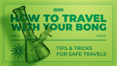 How to Travel with Your Bong