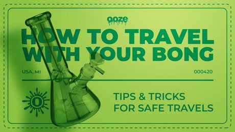 How to Travel with Your Bong