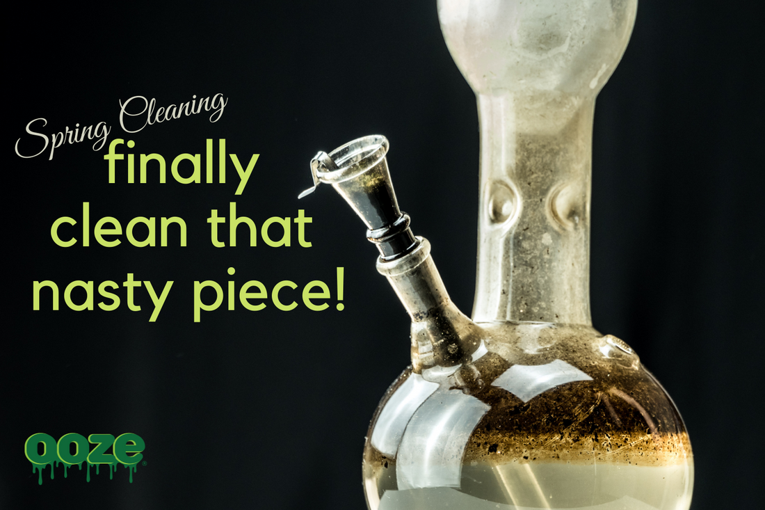 Our Spring Cleaning Tips… For Your Bong
