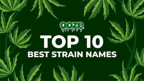 Top 10 Best Strain Names - The Oozelife Blog - Ooze Weed Marijuana Cannabis 