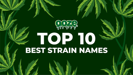 Top 10 Best Strain Names - The Oozelife Blog - Ooze Weed Marijuana Cannabis 