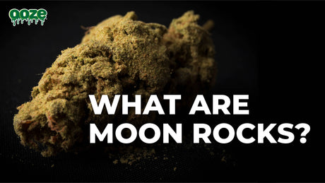 What Are Moon Rocks?