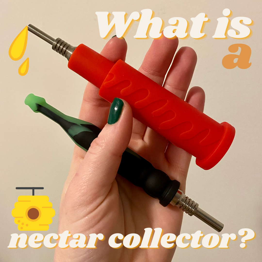 Graphic that reads "What is a nectar collector?". A white female hand is holding a red silicone straw and green and black silicone straw, both straws have a titanium nail inserted.