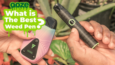 What Is The Best Weed Pen for Flower?