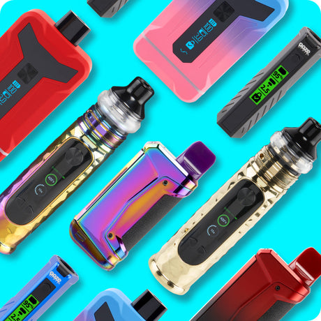 Black Friday Bundles