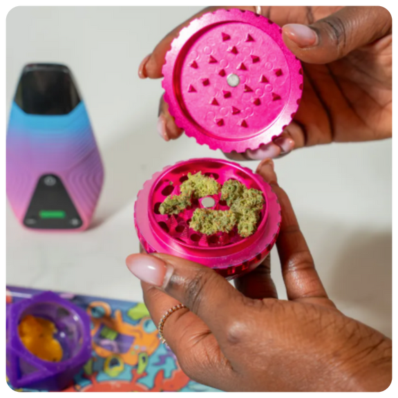 Grinding weed with pink Saturn grinder