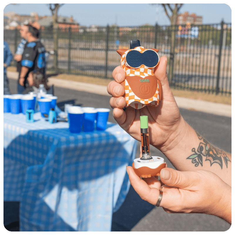 Person holding a Hoot owl vape device with a checkered pattern outdoors, near a table with blue cups.
