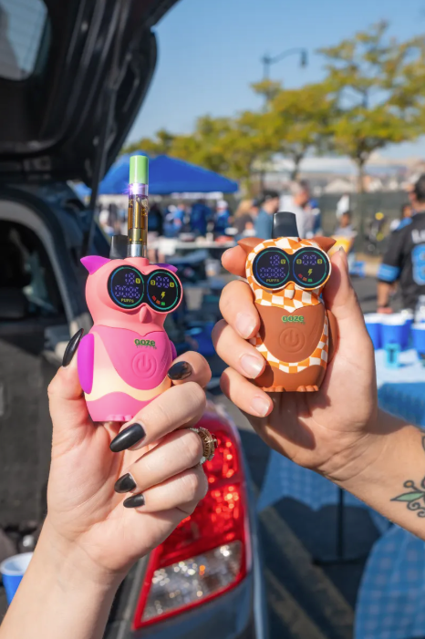 Hoot Character Vapes