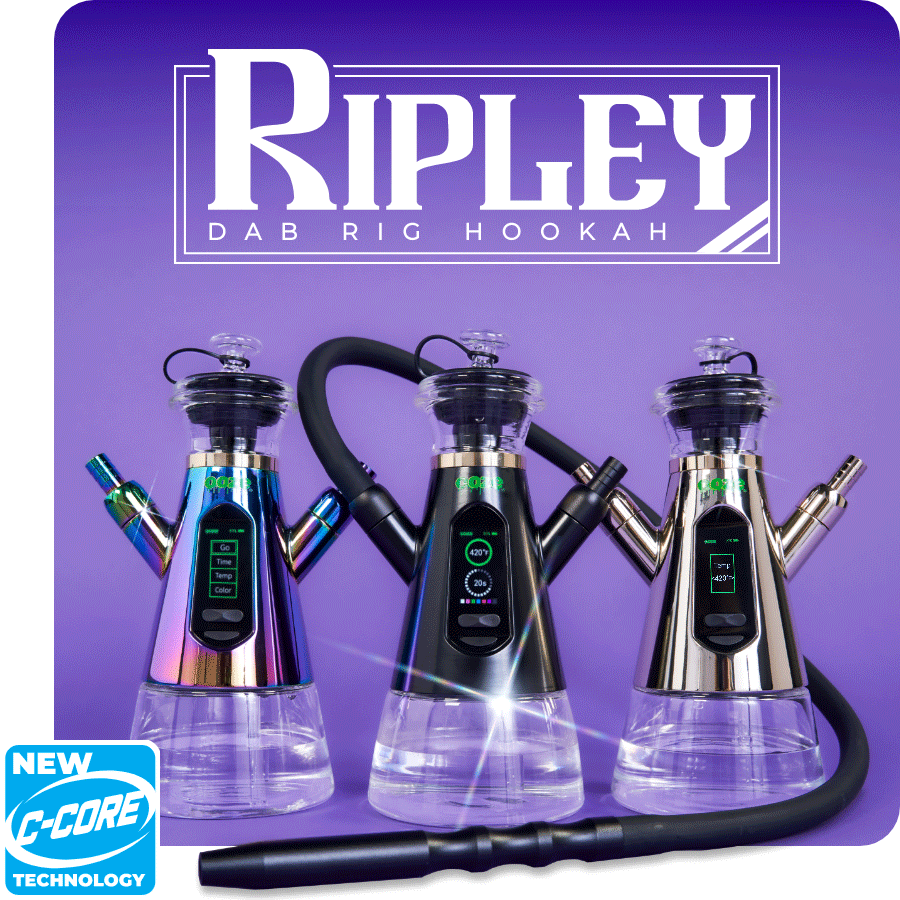 Christmas dinner photo session special