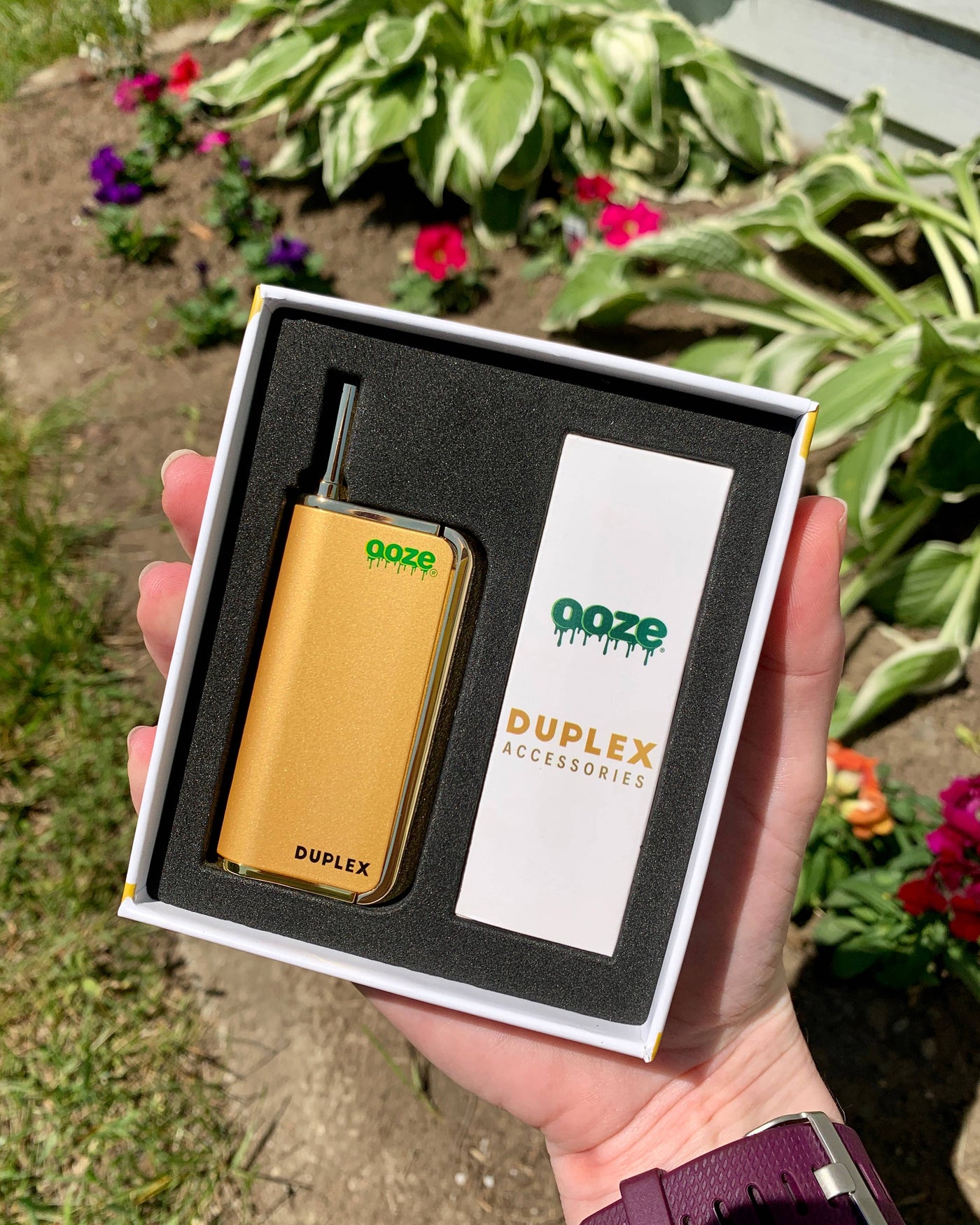 Holding a gold Duplex Pro vape in the box outside