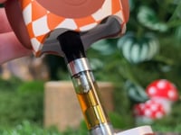 Hoot Character Vape – 650 mAh - Sherbert